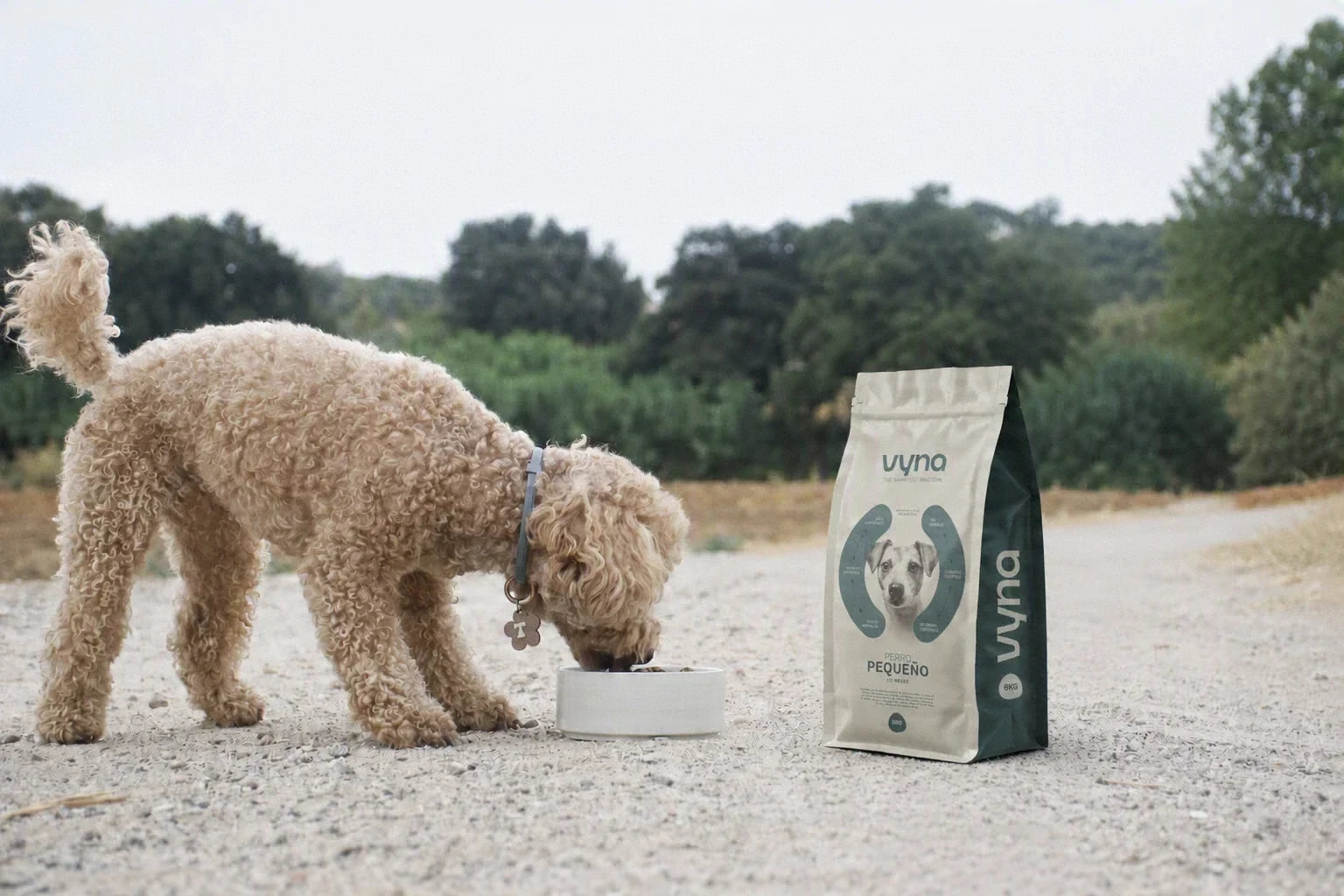 Perro feliz con VYNA