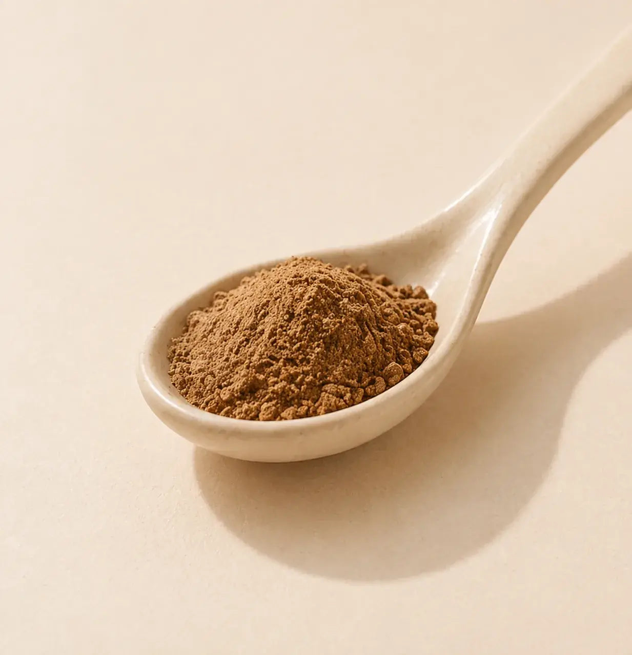 Proteína de insecto para perros
