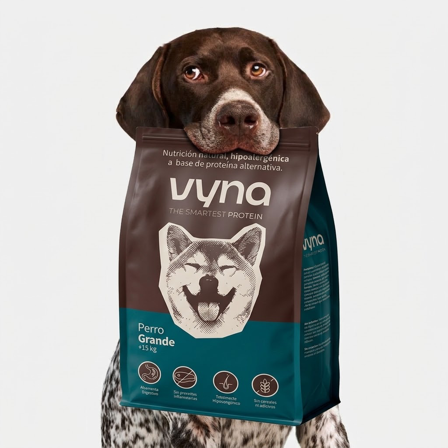 Perro con pienso VYNA - proteína de insecto